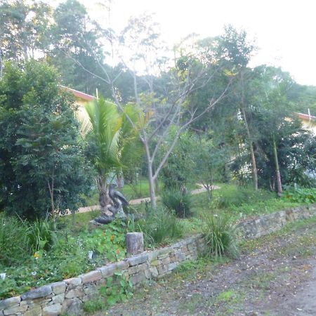 Teretre Cabins Nimbin Vila Exterior foto